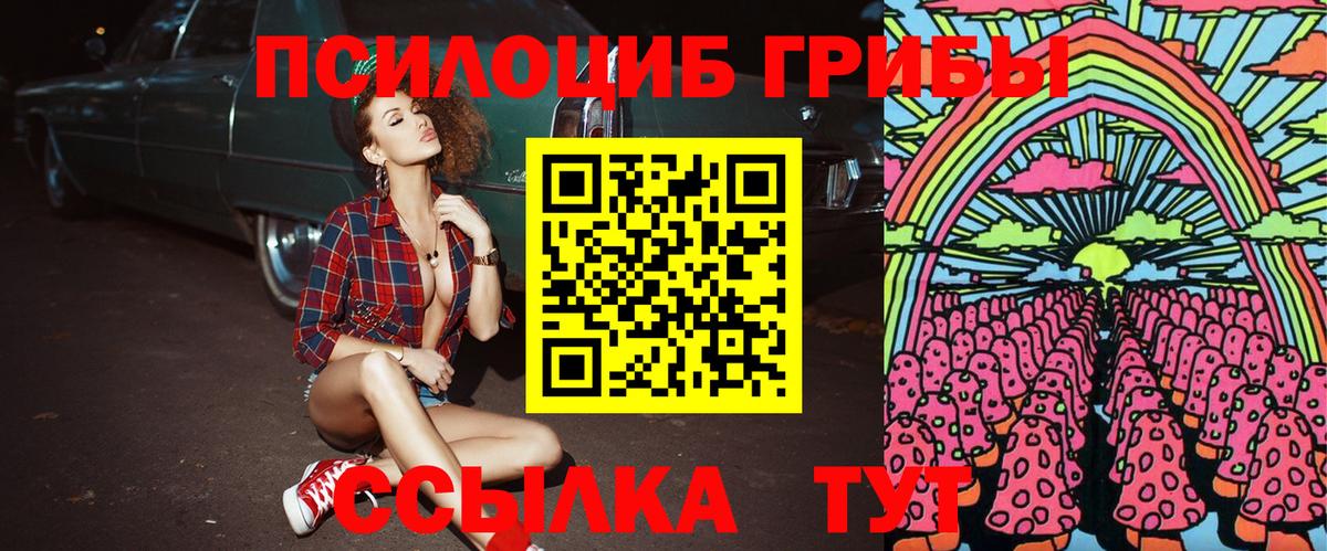 Красный Сулин  Галлюциногенные грибы MAGIC MUSHROOMS  Вход с VPN 