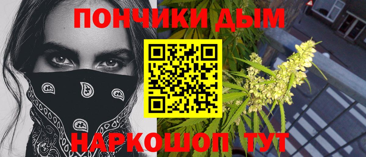 Бошки марихуана Amnesia Красный Сулин